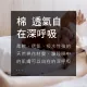 美國寢之堡防水保潔墊(床包式)